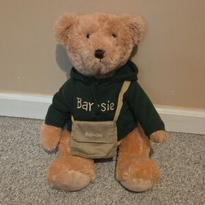 Charming Brown Plush Bear in Green Hoodie